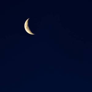 亚洲瘦老头同性XXXX网站
